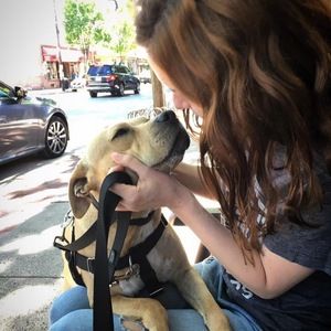 Meet your Posher, Emma